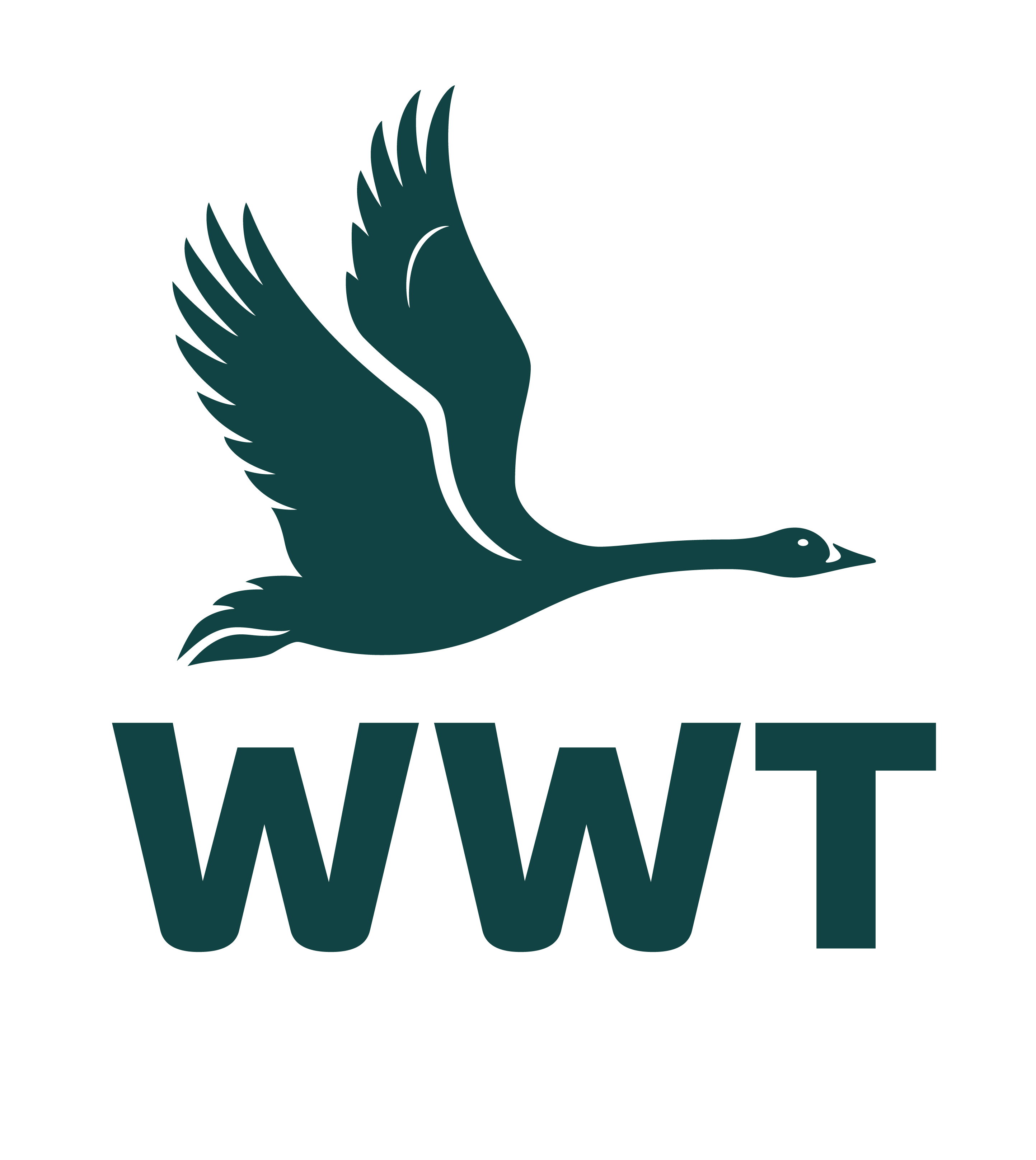 WWT Washington